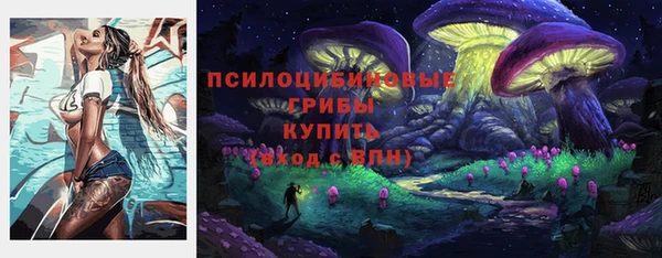 ешки Абаза