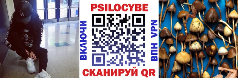 Псилоцибиновые грибы мицелий  Чекалин 